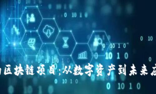 2022年最火的区块链项目：从数字资产到未来应用的全景解析