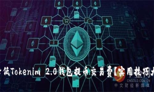 如何降低Tokenim 2.0钱包提币交易费？实用技巧大揭秘！