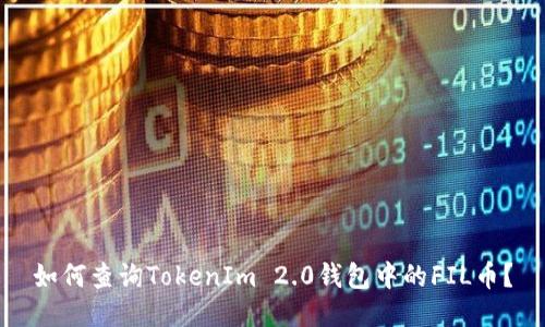 如何查询TokenIm 2.0钱包中的FIL币？