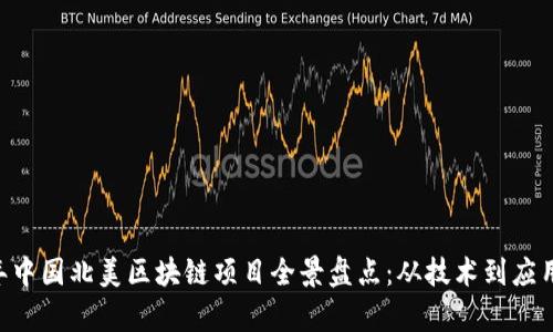 ## 2023年中国北美区块链项目全景盘点：从技术到应用的深度解析