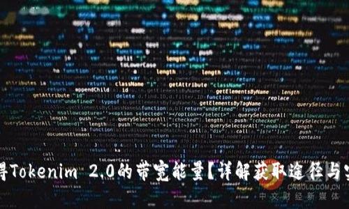 如何获得Tokenim 2.0的带宽能量？详解获取途径与实用方法