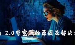 Tokenim 2.0带宽低的原因及解决方案分析