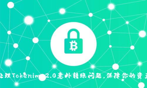 如何处理Tokenim 2.0意外转账问题，保障你的资产安全