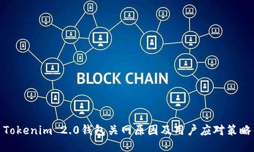 Tokenim 2.0钱包关网原因及用户应对策略