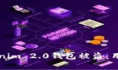 如何有效防止Tokenim 2.0钱包被盗：用户必备的安全