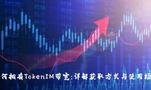 如何拥有TokenIM带宽：详解获取方式与使用场景