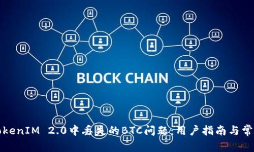 如何解决TokenIM 2.0中丢失的BTC问题：用户指南与常见故障排除