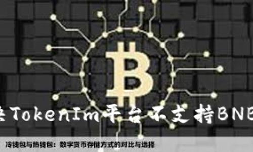 如何解决TokenIm平台不支持BNB的问题？