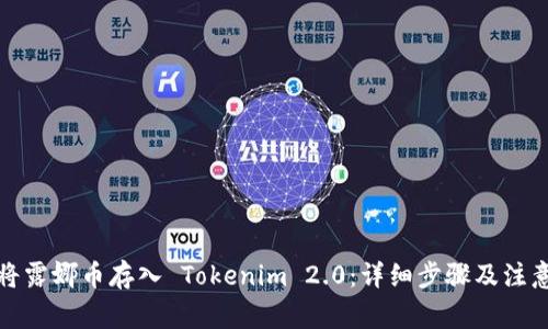 如何将露娜币存入 Tokenim 2.0：详细步骤及注意事项