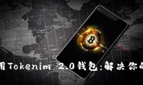如何安全高效地借用Tokenim 2.0钱包：解决你的数字资产管理痛点