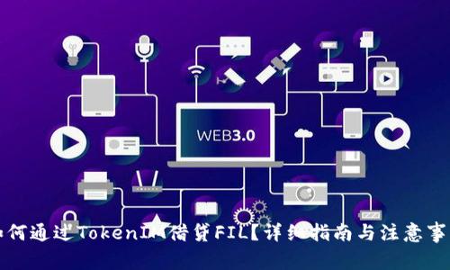 如何通过TokenIM借贷FIL？详细指南与注意事项