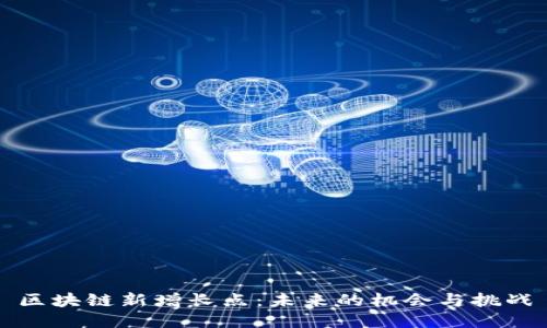 区块链新增长点：未来的机会与挑战