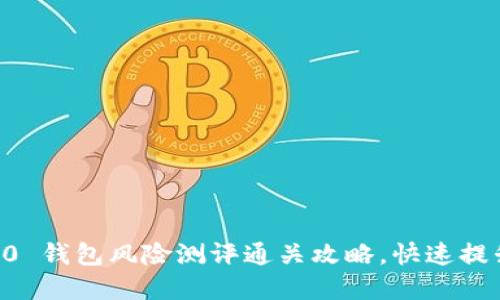 全攻略：tokenim 2.0 钱包风险测评通关攻略，快速提升安全性和使用体验