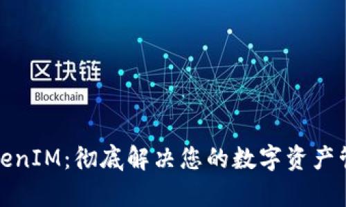 极客TokenIM：彻底解决您的数字资产管理烦恼