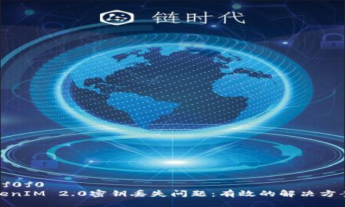 bgcolor:#f0f0f0
如何处理TokenIM 2.0密钥丢失问题：有效的解决方案与预防措施