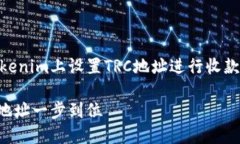 为了更好地帮助您理解如何在Tokenim上设置TRC地址