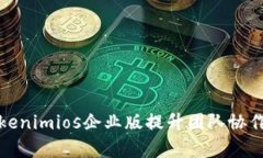 如何有效使用Tokenimios企业版提升团队协作与项目
