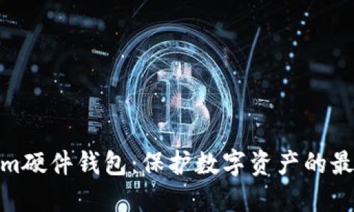 Tokenim硬件钱包：保护数字资产的最佳选择