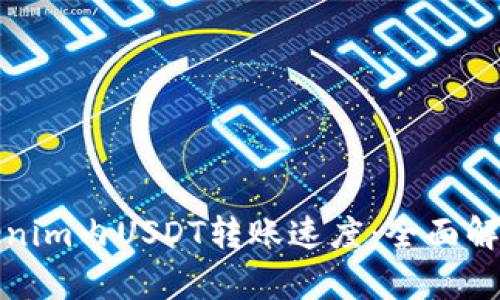 如何提升Tokenim内USDT转账速度：全面解析方法和技巧