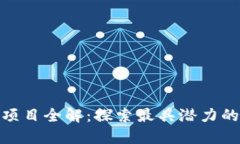 今日区块链项目全解：探索最具潜力的创新与机