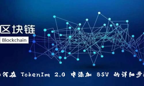 如何在 TokenIm 2.0 中添加 BSV 的详细步骤