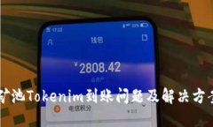 星火矿池Tokenim到账问题及解决方案详解