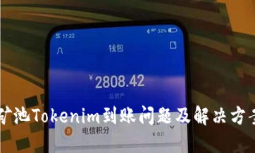 星火矿池Tokenim到账问题及解决方案详解