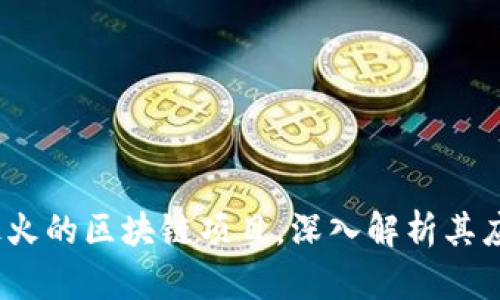 2023年最火的区块链项目，深入解析其应用与前景
