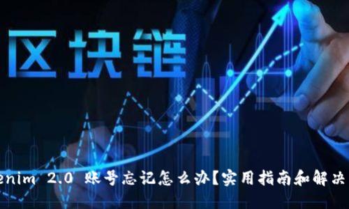 Tokenim 2.0 账号忘记怎么办？实用指南和解决方案