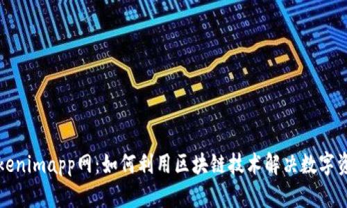 轻松理解Tokenimapp网：如何利用区块链技术解决数字资产管理痛点
