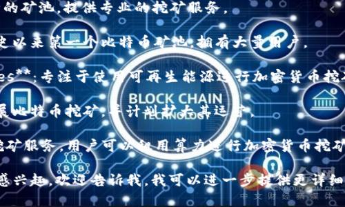 挖矿区块链行业有许多公司提供相关服务，以下是一些较为知名的公司和平台：

1. **比特大陆（Bitmain）**：全球最大的比特币矿机制造商之一，推出了Antminer系列矿机，并且运营多个矿池业务。

2. **嘉楠科技（Canaan）**：另一家知名的矿机制造商，推出的Avalon矿机在市场上也占有一席之地。

3. **微讯矿业（MicroBT）**：主要推出WhatsMiner系列矿机，性能优良，广受欢迎。

4. **Pangolin Miner**：专注于比特币和其他加密货币的挖矿设备制造。

5. **F2Pool**：一家大型矿池，支持多种加密货币的挖矿。

6. **池子（Poolin）**：支持多种币种的矿池，提供专业的挖矿服务。

7. **Slush Pool**：薯条矿池，是有史以来第一个比特币矿池，拥有大量用户。

8. **Hive Blockchain Technologies**：专注于使用可再生能源进行加密货币挖矿。

9. **Riot Blockchain**：在美国开展比特币挖矿，并计划扩大其运营。

10. **Genesis Mining**：提供云挖矿服务，用户可以租用算力进行加密货币挖矿。

如果你有特定的需求或对某些方面感兴趣，欢迎告诉我，我可以进一步提供更详细的信息。