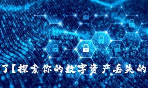 Tokenim币去哪了？探索你的数字资产丢失的原因及解决方案