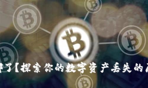 Tokenim币去哪了？探索你的数字资产丢失的原因及解决方案