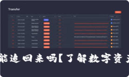tokenim2.0被盗能追回来吗？了解数字资产安全与维权措施