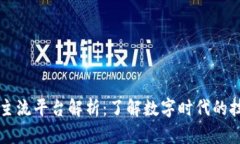 区块链主流平台解析：了解数字时代的技术巨头