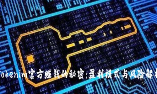 Tokenim官方赚钱的秘密：盈利模式与风险解析