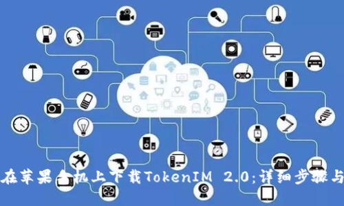 如何在苹果手机上下载TokenIM 2.0：详细步骤与技巧