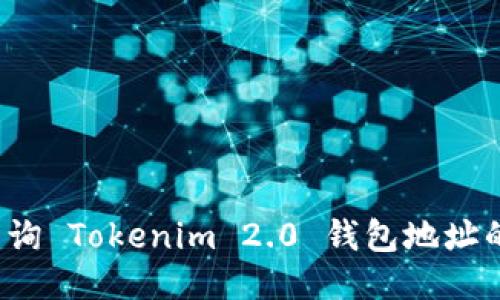 如何快速查询 Tokenim 2.0 钱包地址的转账记录？