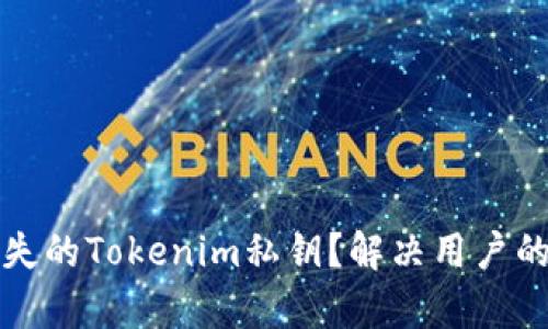如何找回丢失的Tokenim私钥？解决用户的最忧心痛点