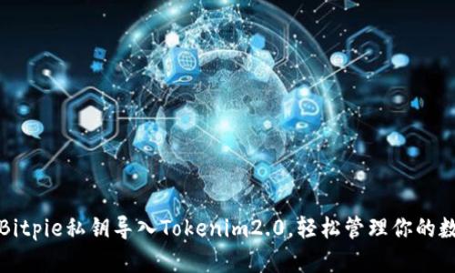 如何将Bitpie私钥导入Tokenim2.0，轻松管理你的数字资产