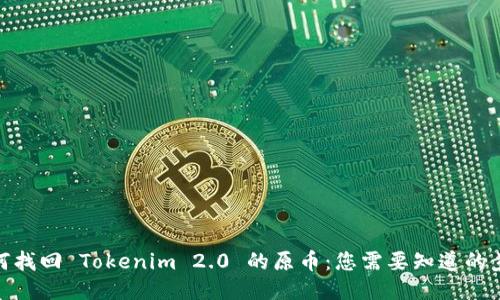 如何找回 Tokenim 2.0 的原币：您需要知道的步骤