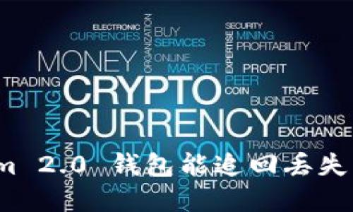 Tokenim 2.0 钱包能追回丢失资金吗？