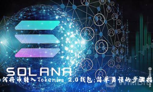 如何将币转入Tokenim 2.0钱包：简单易懂的步骤指南