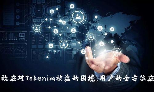 如何有效应对Tokenim被盗的困境：用户的全方位应对指南