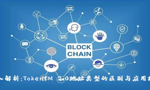深入解析：TokenIM 2.0地址类型的区别与应用场景