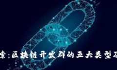 深入探索：区块链开发群的五大类型及其特点