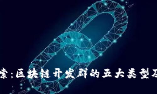 深入探索：区块链开发群的五大类型及其特点