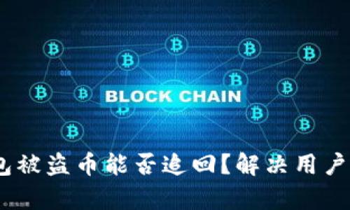 tokenim2.0钱包被盗币能否追回？解决用户痛点的详尽分析