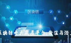 探索区块链十大底层平台：价值与潜力解析