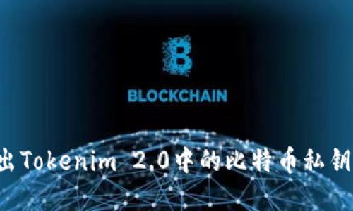 如何安全导出Tokenim 2.0中的比特币私钥：一步步详解